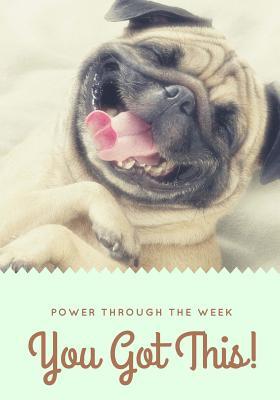 Read You Got This Daily Planner: Accomplish Your Daily Goals, Targets and Successes - NOT A BOOK | ePub