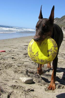 Read My Frisbee - Doberman Pinscher at the Beach, for the Love of Dogs: Blank 150 Page Lined Journal for Your Thoughts, Ideas, and Inspiration - NOT A BOOK | ePub