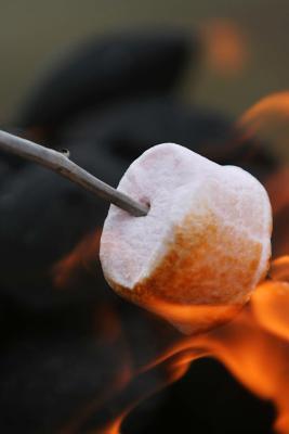 Read online The Roasted Marshmallow Journal: 150 Page Lined Notebook/Diary - NOT A BOOK | PDF