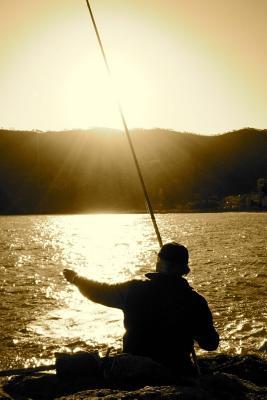 Download Fisherman in the Morning Journal: 150 Page Lined Notebook/Diary - NOT A BOOK | PDF