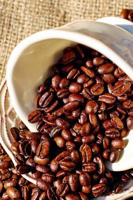 Download Coffee Bean Journal: 150 Page Lined Notebook/Diary - NOT A BOOK | PDF