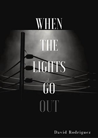 Read When the Lights Go Out: From Survivor to Champion - David Rodríguez file in ePub