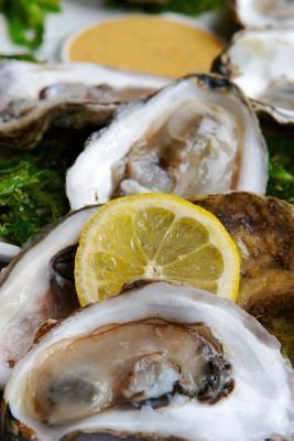 Read online Oysters on the Half Shell Journal: 150 Page Lined Notebook/Diary - NOT A BOOK | ePub