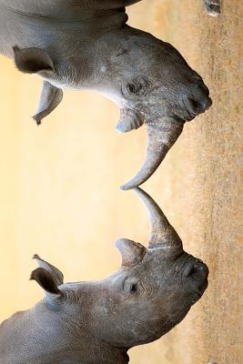 Download White Rhinoceros Horn to Horn Journal: 150 Page Lined Notebook/Diary - NOT A BOOK | PDF