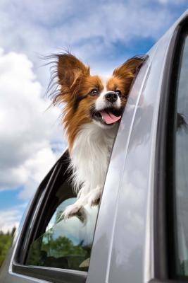 Read online Cute Papillon Dog in a Car Journal: 150 Page Lined Notebook/Diary - NOT A BOOK | ePub