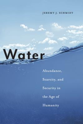 Download Water: Creating and Managing a Global Resource - Jeremy J. Schmidt | ePub