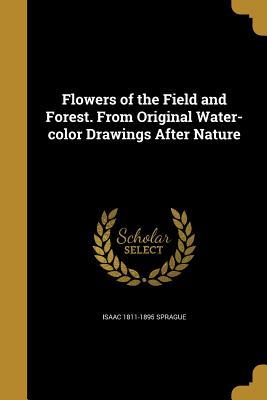 Read online Flowers of the Field and Forest. from Original Water-Color Drawings After Nature - Isaac Sprague file in ePub