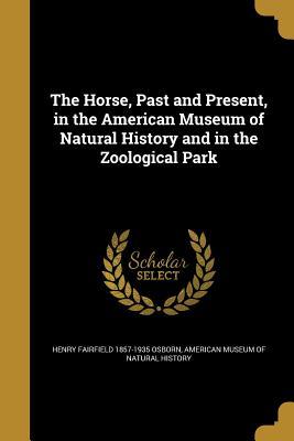 Read online The Horse, Past and Present, in the American Museum of Natural History and in the Zoological Park - Henry Fairfield Osborn file in ePub