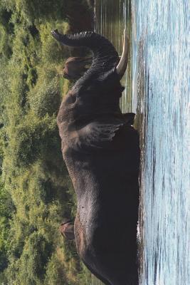 Read Bull Elephant in the River Journal: 150 Page Lined Notebook/Diary - NOT A BOOK file in ePub