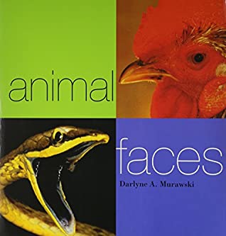 Read Houghton Mifflin Harcourt Journeys: Read Aloud Set of 30 Level 1 - Houghton Mifflin Company | ePub